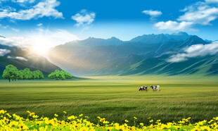 草原风景壁纸