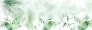 霧氣磨砂膜效果綠植貼圖