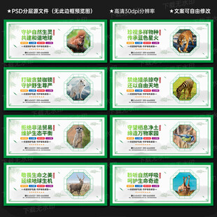 保护野生动物