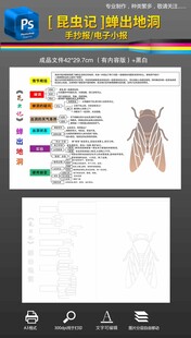 昆蟲記蟬出地洞思維導(dǎo)圖
