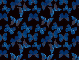藍(lán)色蝴蝶圖案背景紋理