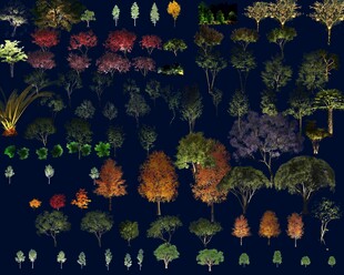 發(fā)光樹 夜景樹 亮化素材