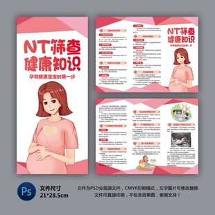 NT篩查三折頁