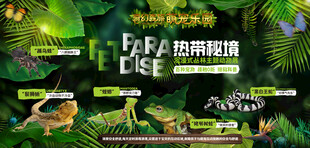叢林探險(xiǎn)主題活動(dòng)宣傳圖