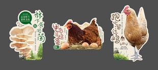 林下經(jīng)濟(jì)