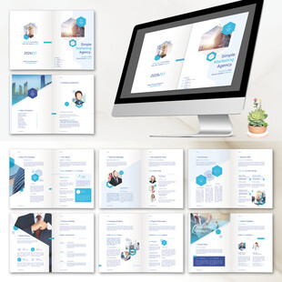 優(yōu)雅現(xiàn)代和專業(yè)的提案ID模板