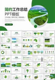 濕地環(huán)境保護生態(tài)森林業(yè)PPT