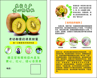 獼猴桃產(chǎn)品宣傳頁展示