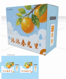 橙子包裝 