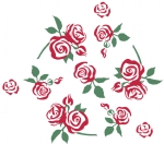 玫瑰花
