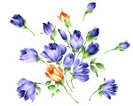 韩国花纹PSD素材