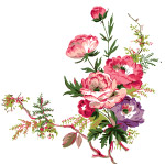 卡通花草