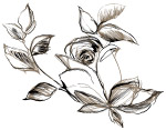 花朵绘画