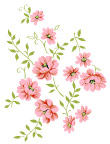 韩国花朵PSD素材
