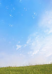 草地天空