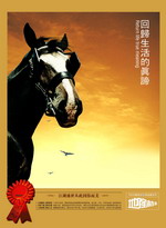 房地产广告设计PSD