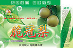 梨包装