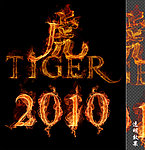 燃烧的字2010虎年