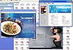 313个电子杂志SWF格式新模板