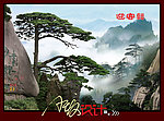 迎客松