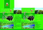 黑木耳盒