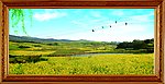 自然风景 田野风景 美丽大自然 挂画