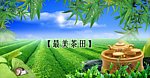 最美茶田
