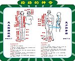 《灵枢 经脉》