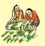农夫割稻