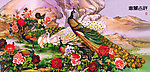 国画 孔雀 中堂画