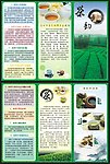 茶 宣传单