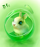 漂亮的水晶兔