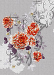 牡丹花