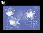 梦幻钻石花