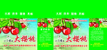 樱桃盒