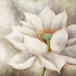装饰花卉