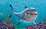海底动物可爱鲨鱼立体画序列图