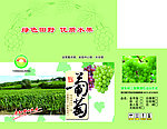 优质葡萄