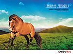 马到成功