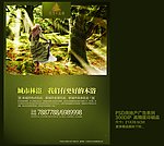 房地产广告