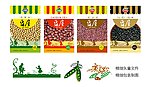 日式黑豆系列包装