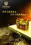 凯迪保罗