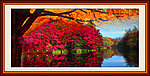 风景画