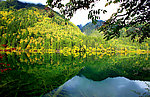 九寨沟风光 秋色