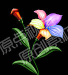 手绘百合花