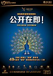 公开在即