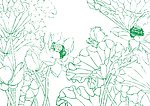 清爽荷花芙蓉王 插画
