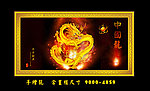 火焰金龙
