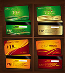 会员卡 VIP 贵宾卡