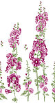 层次花